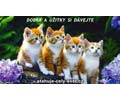 Dobra a u�itky si d�vejte
