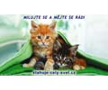 Milujte se a m�jte se r�di