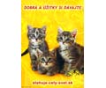 Dobr� a ��itky si d�vajte